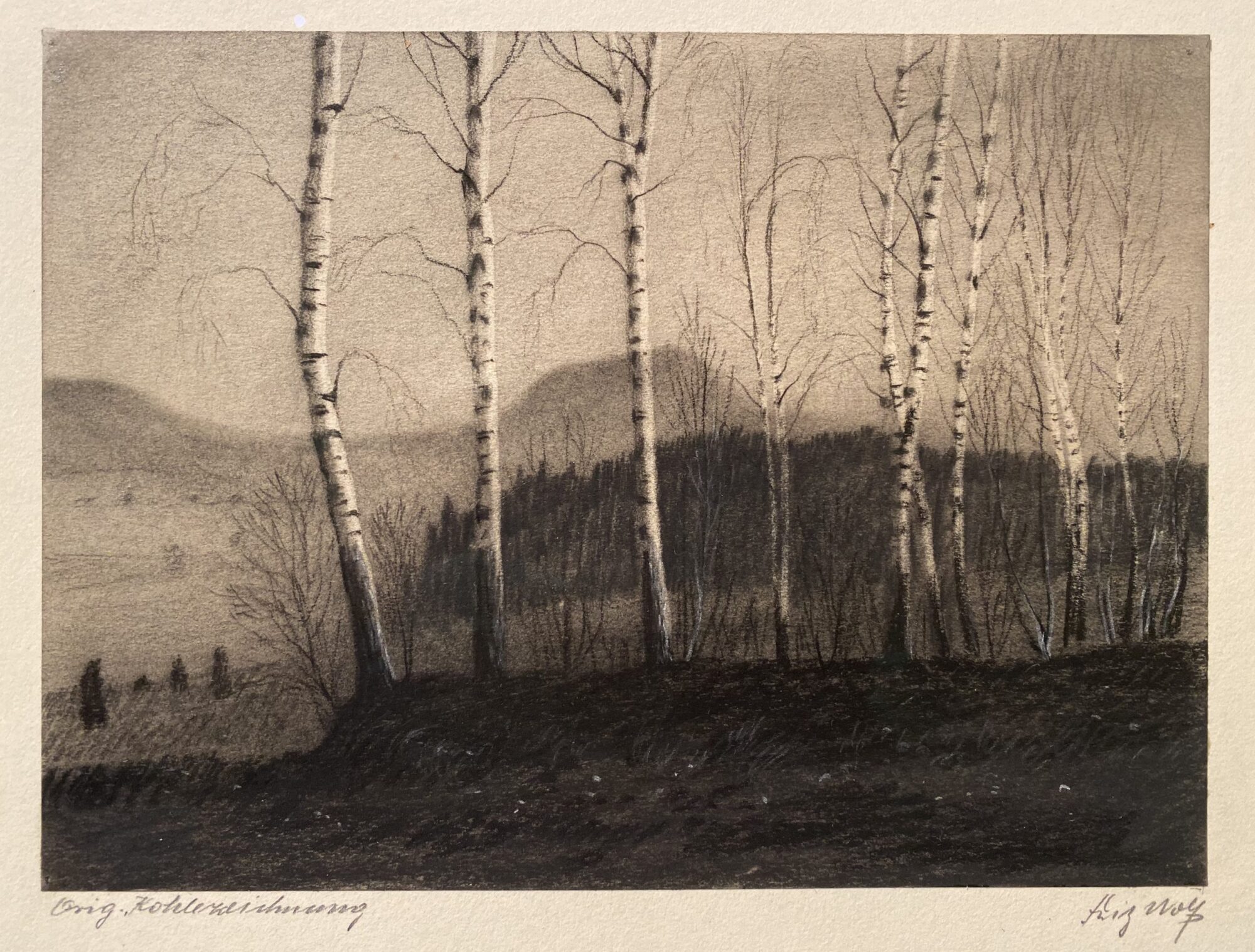Fritz Wolf | Milseburg, hinter Birken
