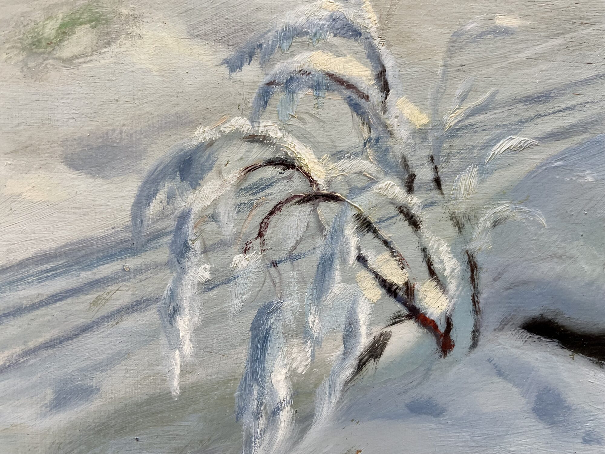 Fritz Wolf | Kreuzberg / Rhön - Winter 1935 – Bild 5