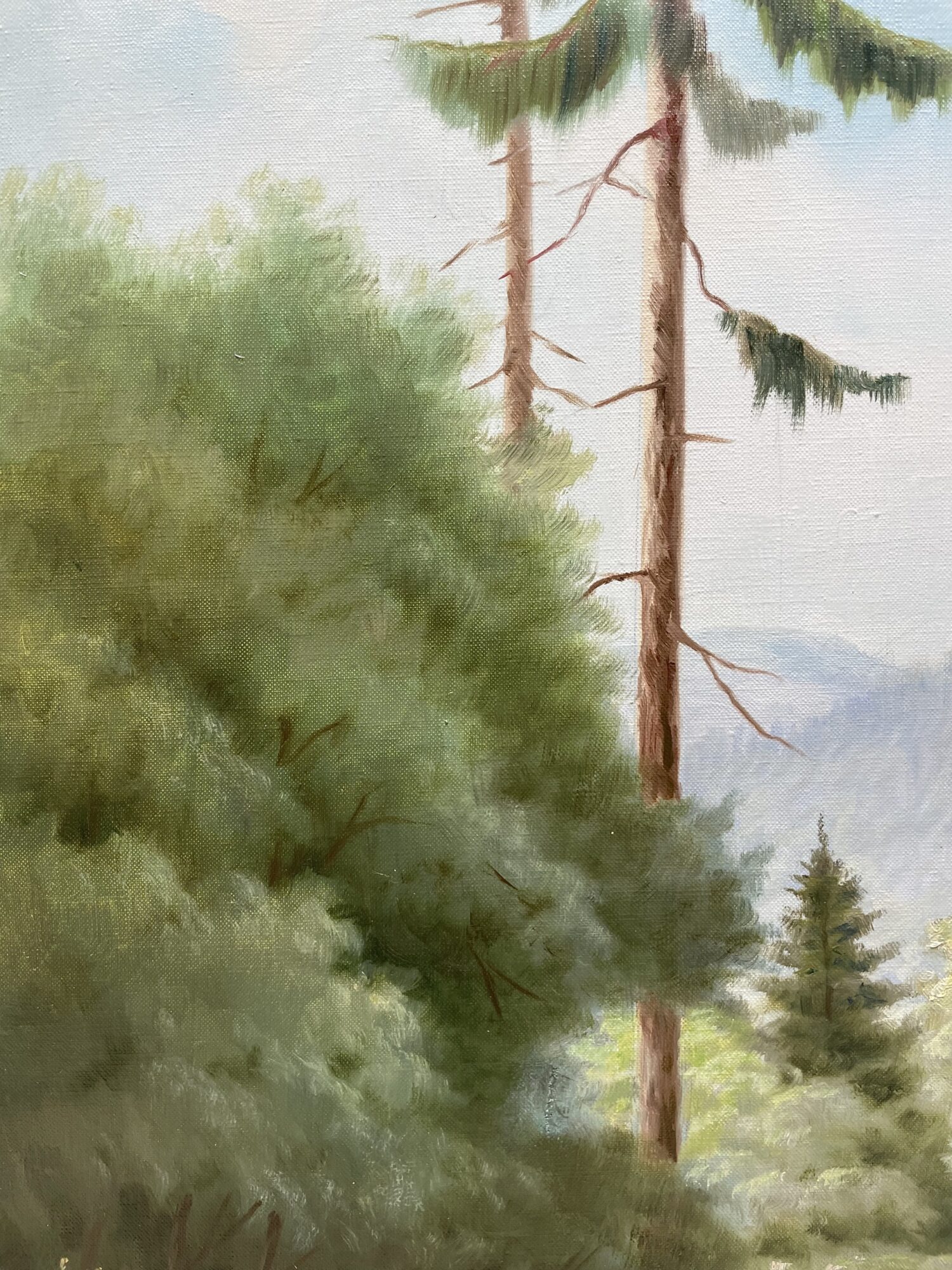Fritz Wolf | Schloss Bieberstein in der Rhön – Bild 6
