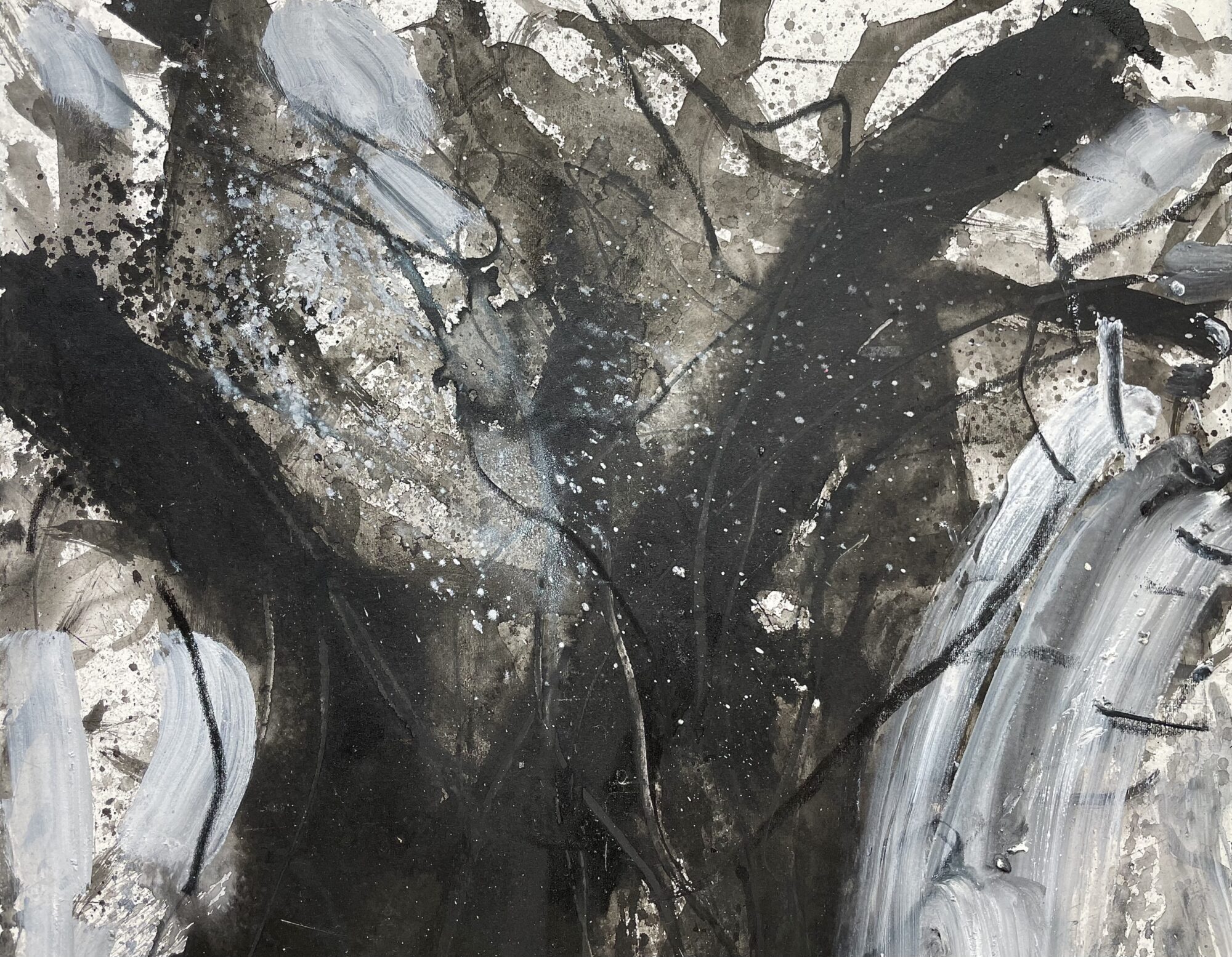 Oskar Koller | Alter Olivenbaum – Bild 2