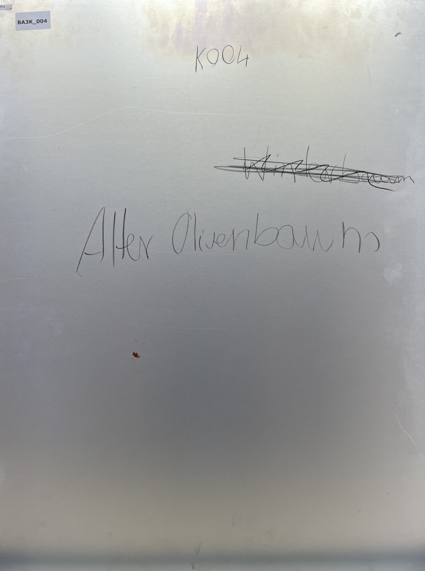 Oskar Koller | Alter Olivenbaum – Bild 6