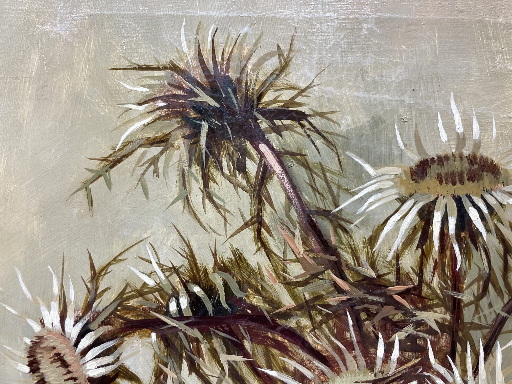 Paul Klüber | Rhöndistel – Bild 2