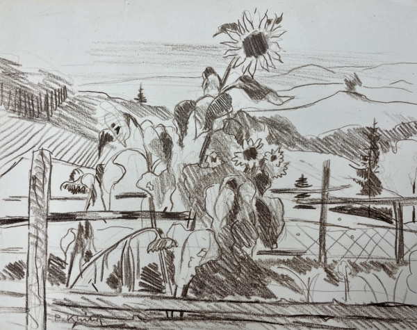 Paul Klüber | Sonnenblumen