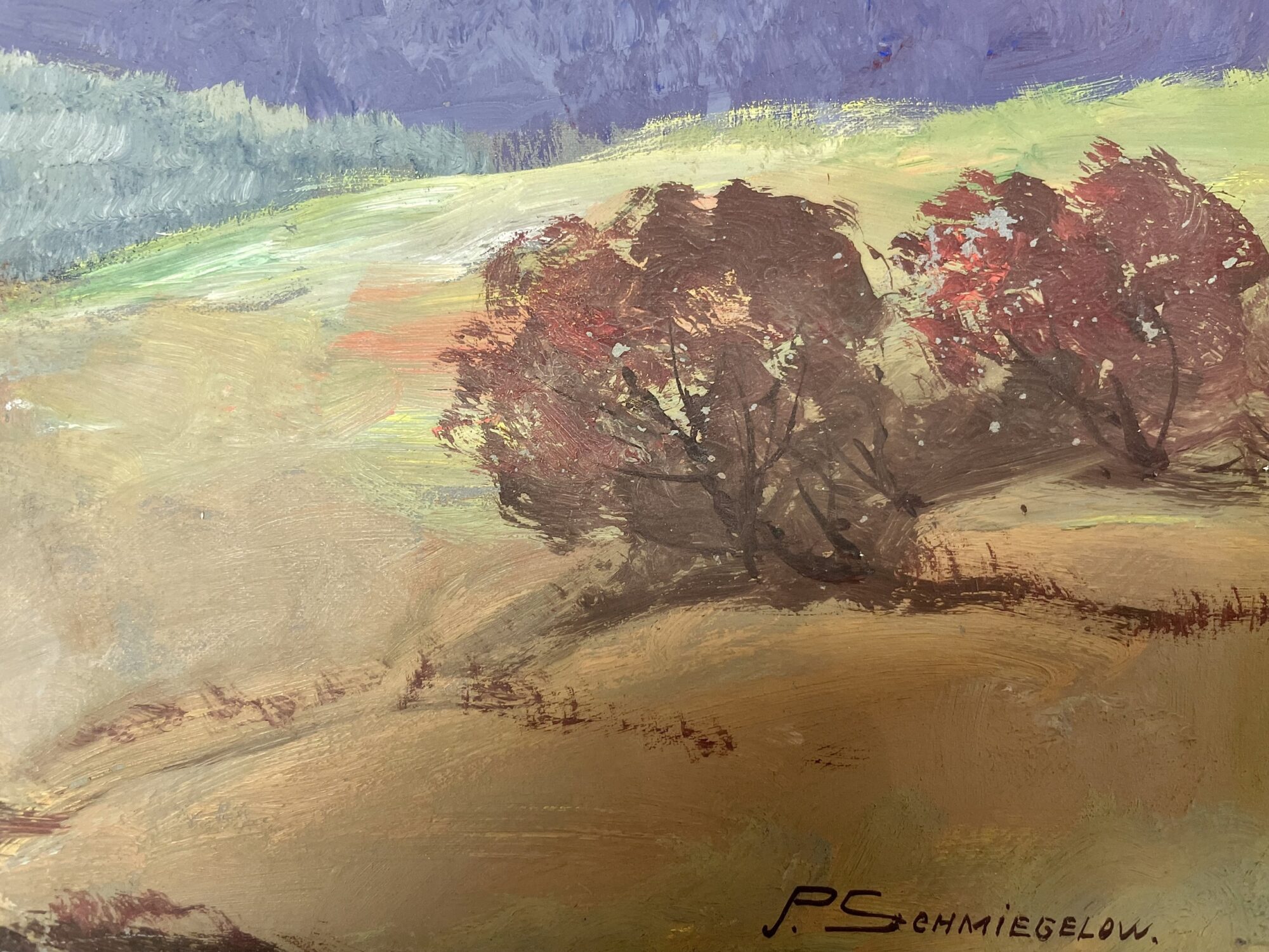 Pedro Schmiegelow | Rhönlandschaft 2 – Bild 2