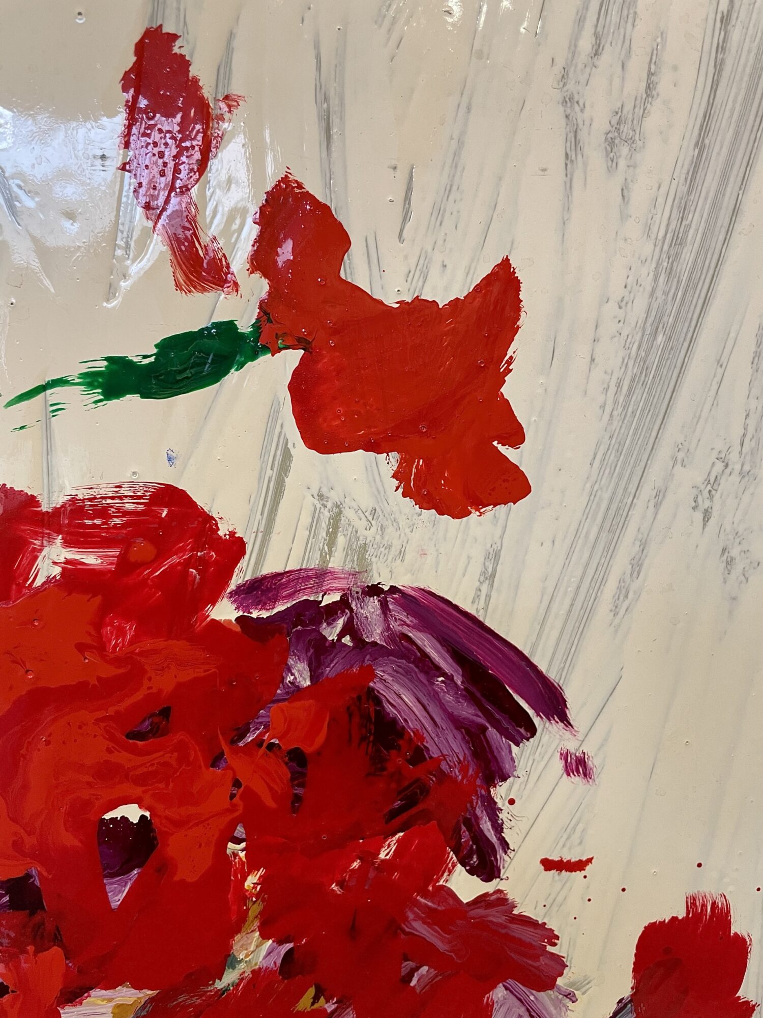 Oskar Koller | Begonien – Bild 6