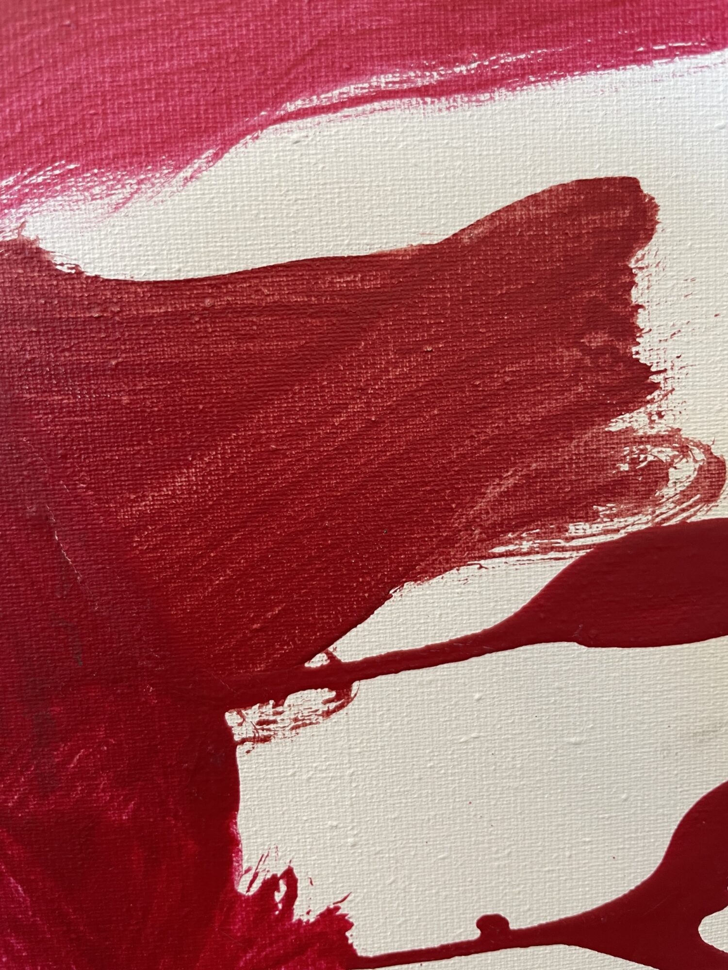 Oskar Koller | Amaryllis – Bild 6