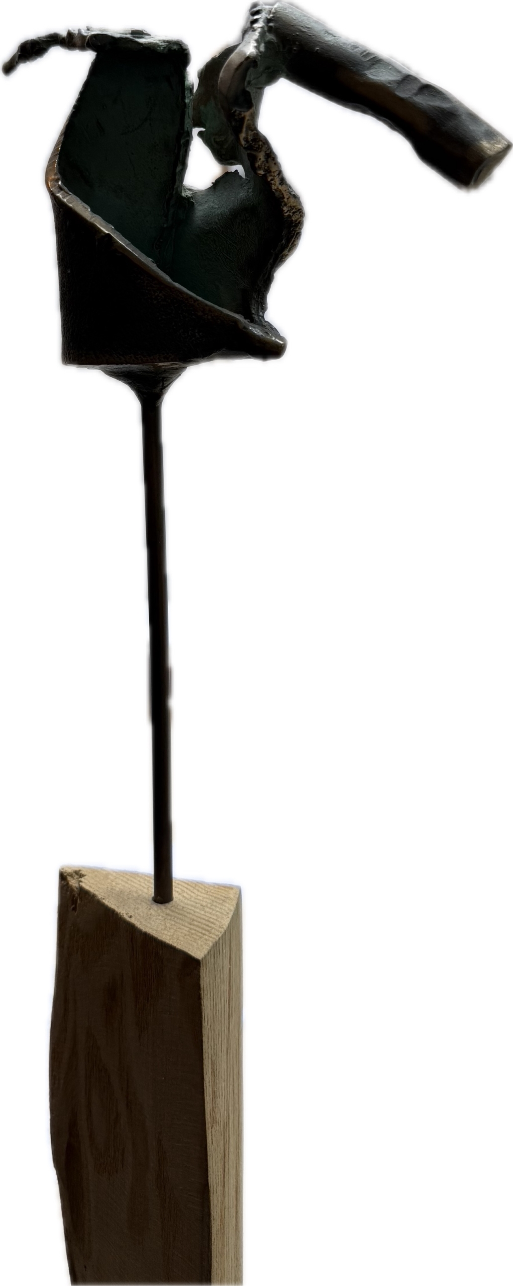 Dr. Ulrich Barnickel | Cäsar