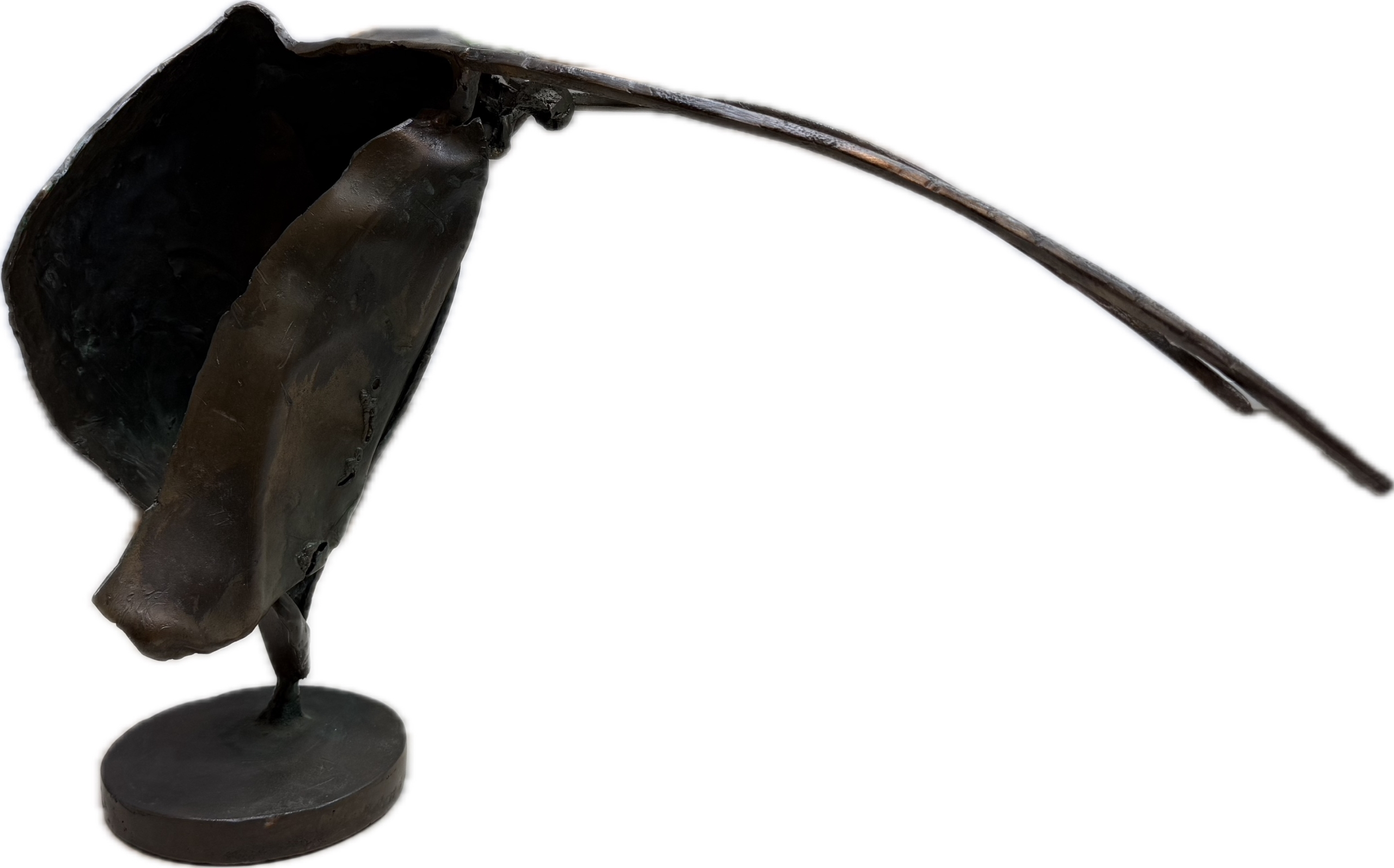 Dr. Ulrich Barnickel | Kassandra