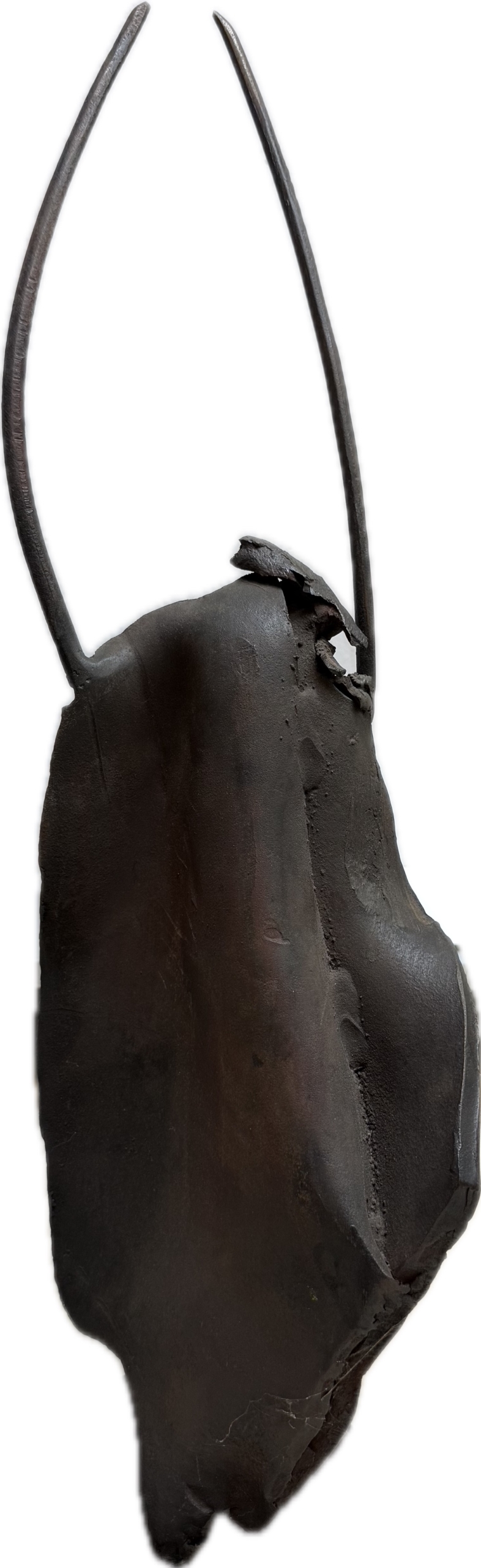 Dr. Ulrich Barnickel | Swing