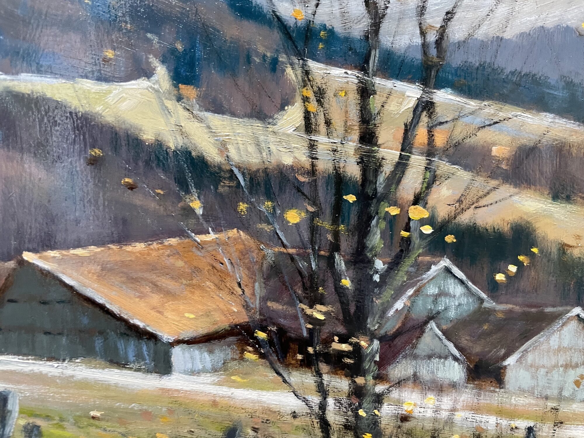 Walter Rohrbach | Blick unterhalb der Maulkuppe zur Wasserkuppe – Bild 3