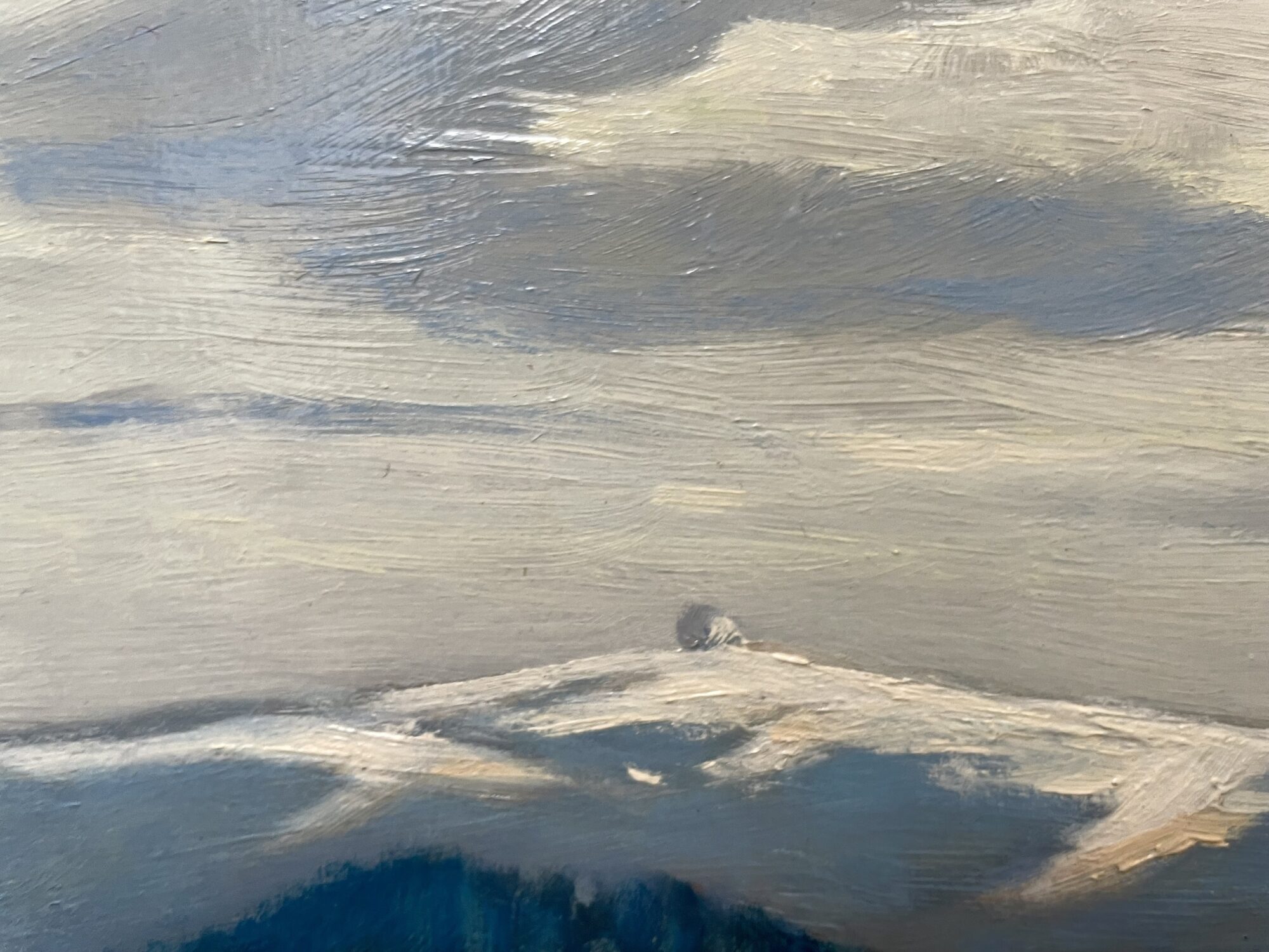 Walter Rohrbach | Blick unterhalb der Maulkuppe zur Wasserkuppe – Bild 6