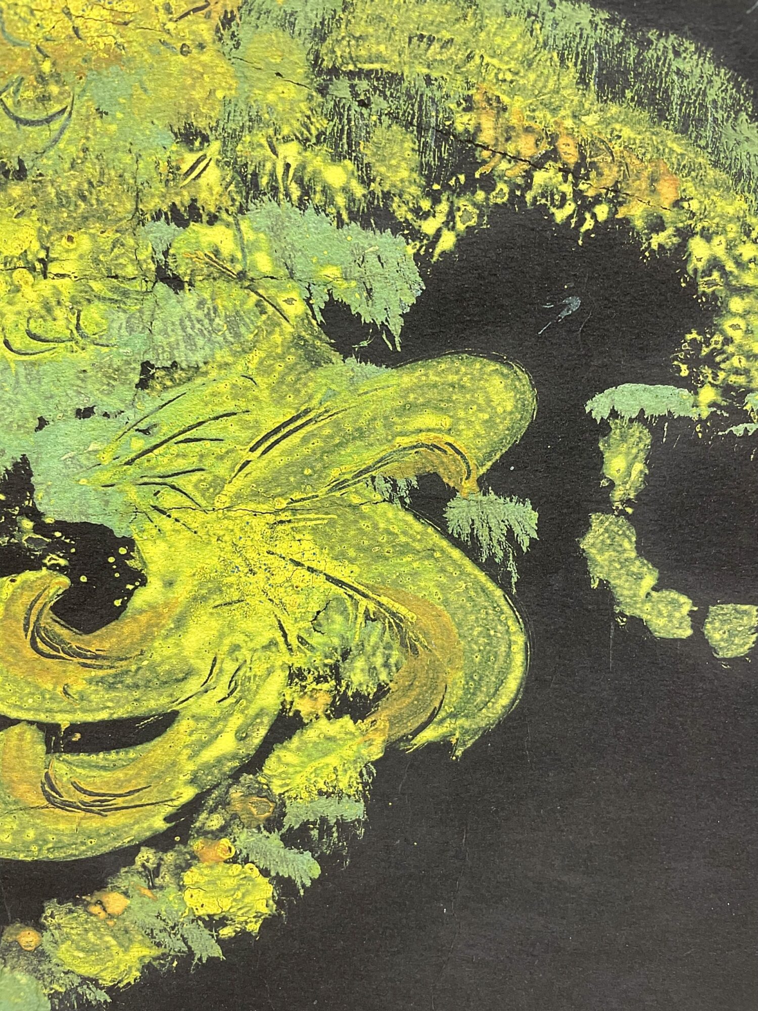 Jimi Hendrix | Flower Demon – Bild 4