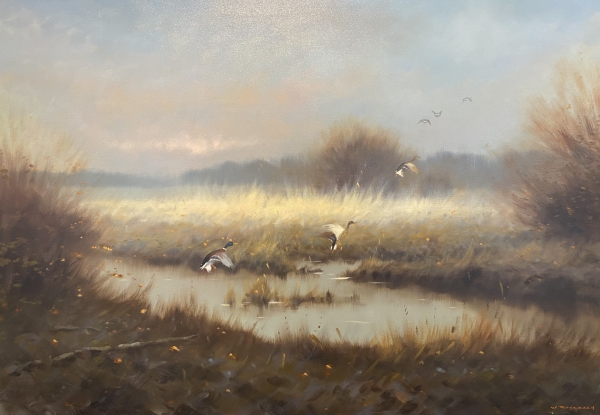 Walter Rohrbach | Entenflug