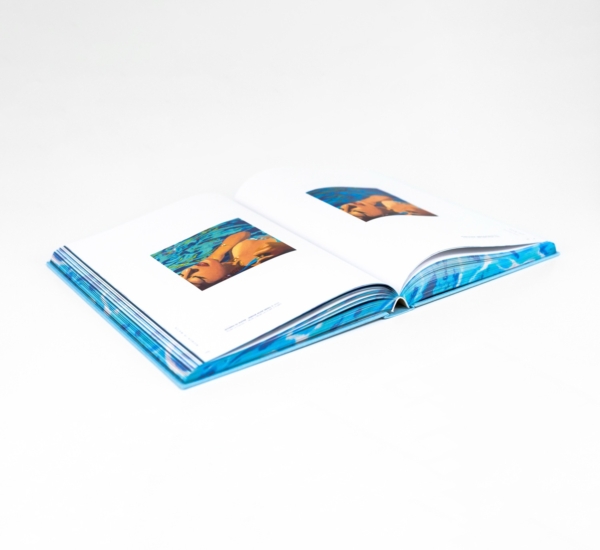 James Francis Gill | Women In Water | Coffee Table Book – Bild 7