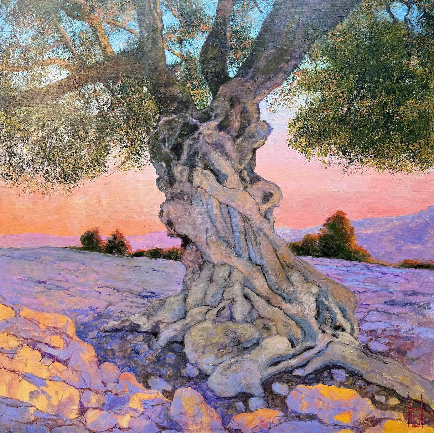 Uwe Herbst | Tausendjähriger Olivenbaum