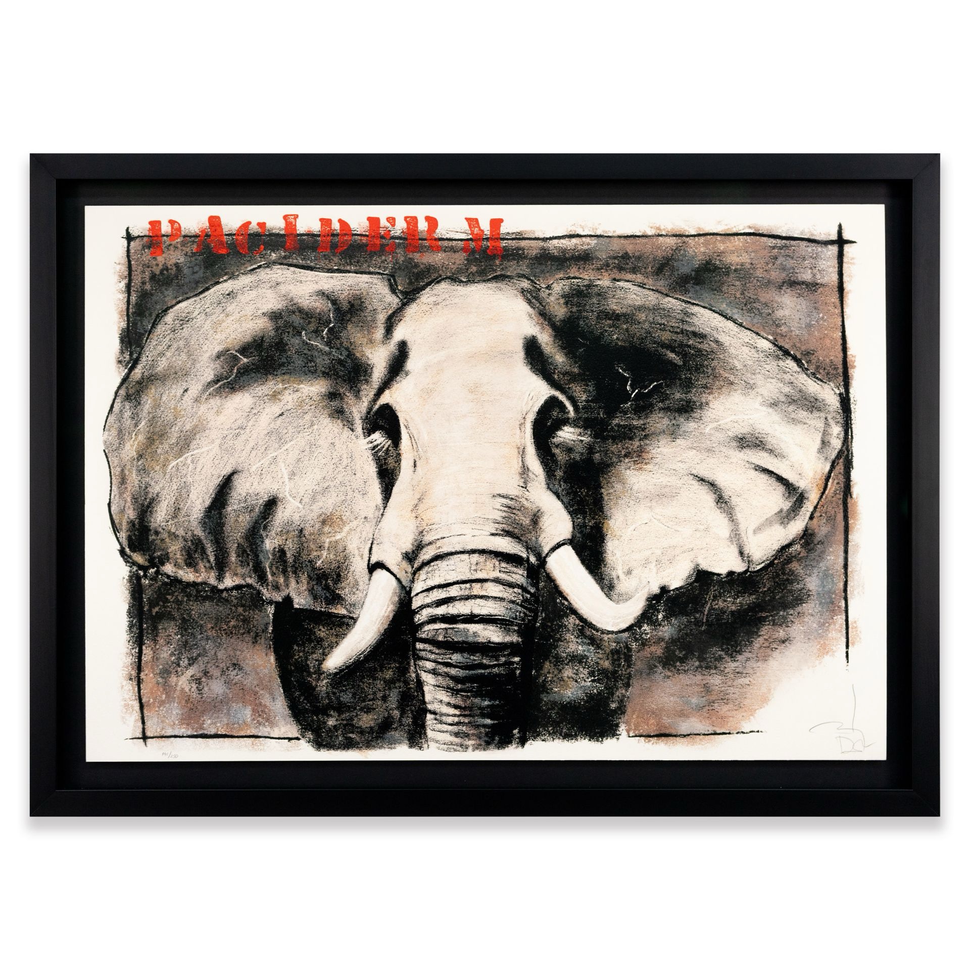 Johnny Depp | Paciderm