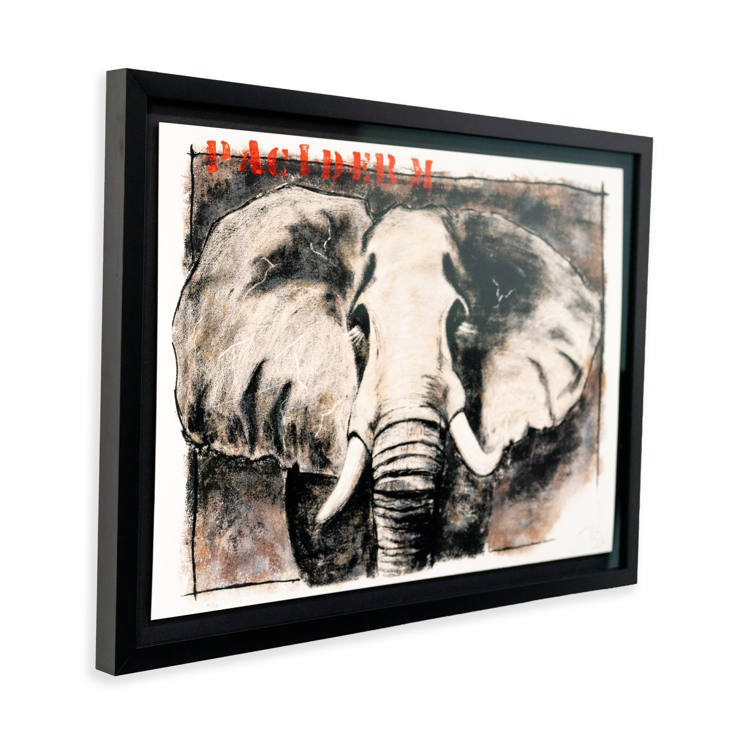 Johnny Depp | Paciderm – Bild 2